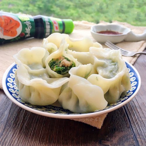 Tofu Dumplings Tofu Today